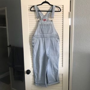 Light Denim Overalls